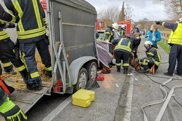 Dülmen – Feuerwehr befreit Pferd
