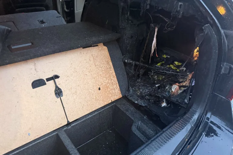 Stadt Schaffhausen – Parkiertes Auto in Brand