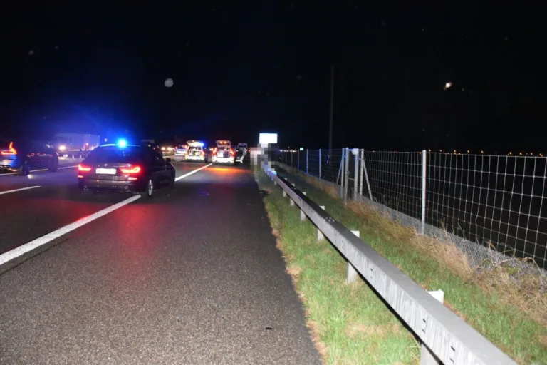 Niederbipp SO - Junger Motorradlenker wird bei Selbstunfall auf der A1 schwer verletzt 
