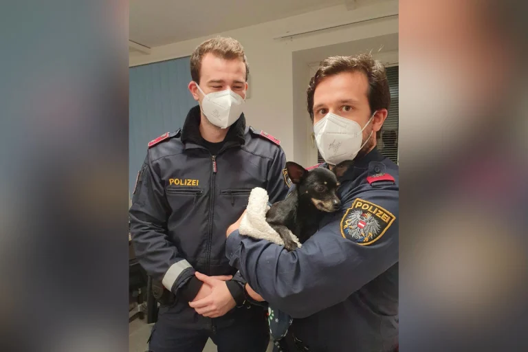 Wien – Rettung eines Hundes