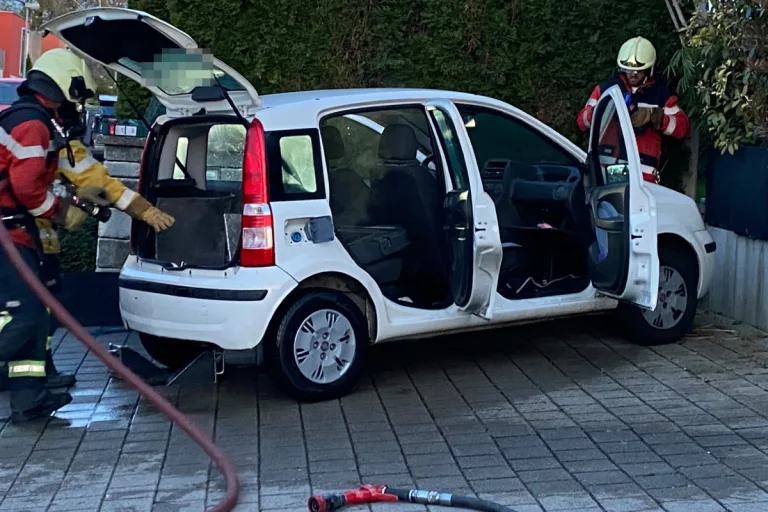 Parkiertes Elektro-Auto gerät in Diessenhofen TG in Brand