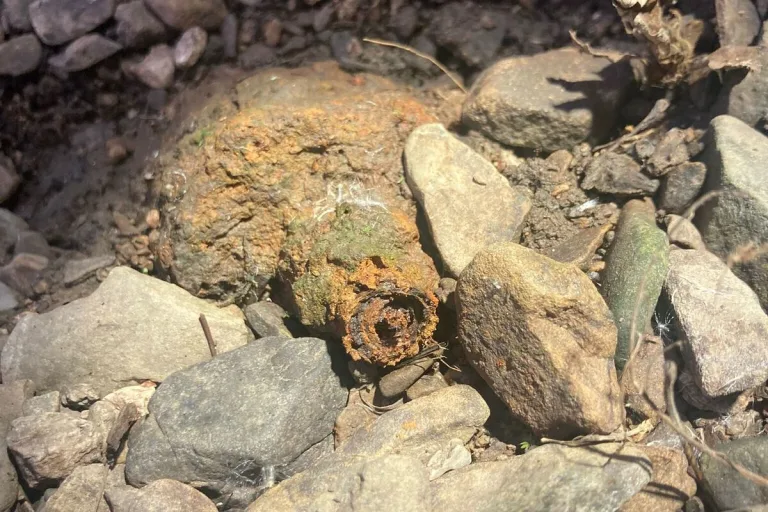 Lainzer Tiergarten - Russische Topfhandgranate entdeckt 