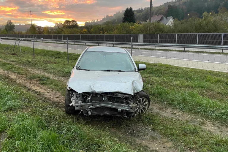 A1 Walterswil AG – 21-Jähriger durchschlug mit seinem Fahrzeug den Wildschutzzaun 