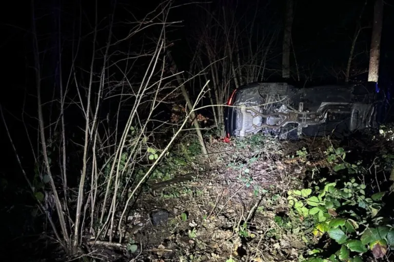 Sisseln AG - BMW überschlägt sich bei Unfall 