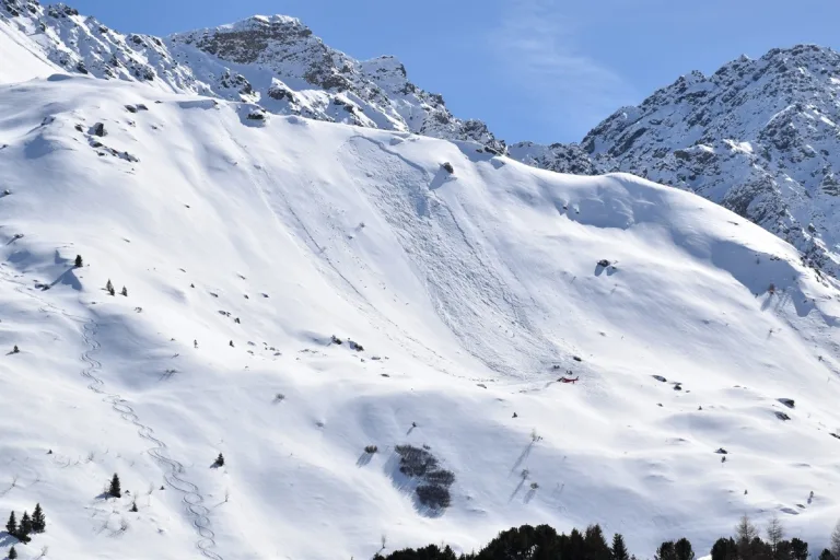 Arosa GR - Lawinenhund spürt Verschütteten auf