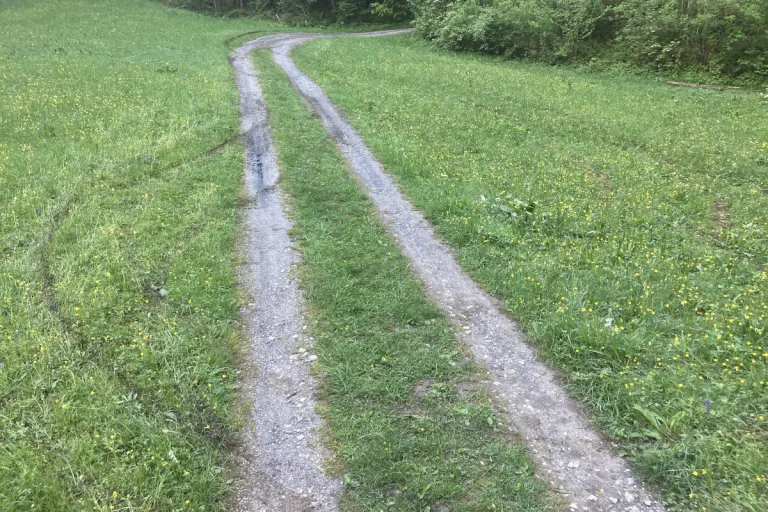 Netstal GL – Nach Unfall auf Waldstrasse geflüchtet