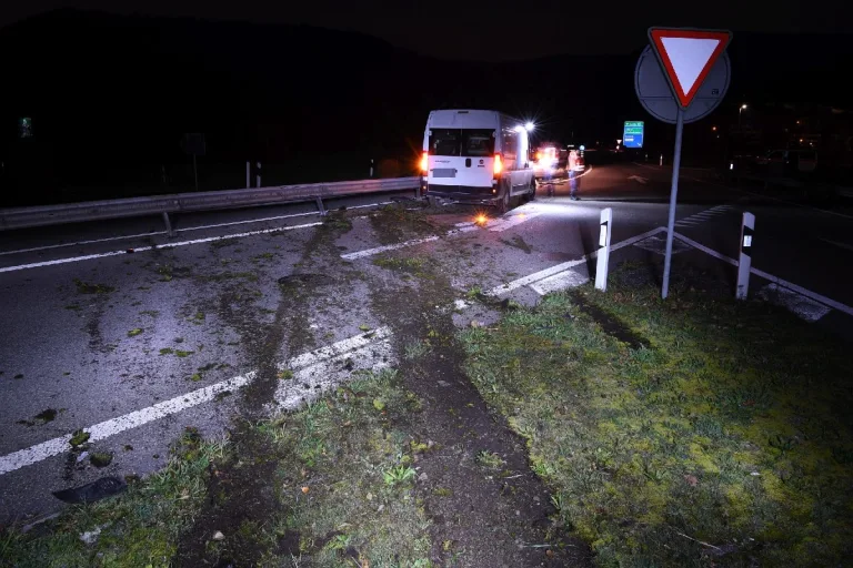 Sissach BL - Fahrzeuglenker verursacht Selbstunfall