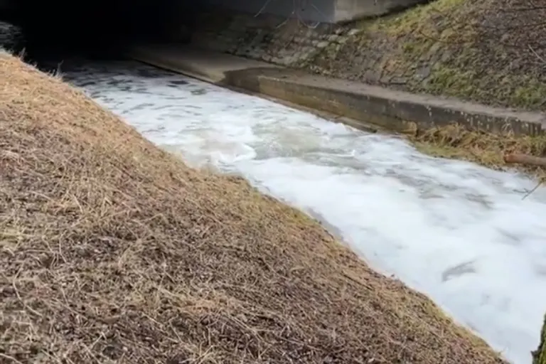 Thal SG – Ermittlungen wegen Umweltverschmutzung im Steinlibach