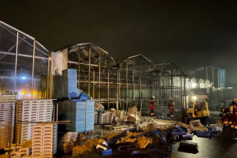 Schwerzenbach ZH - Brand in Gewächshäusern einer Gärtnerei