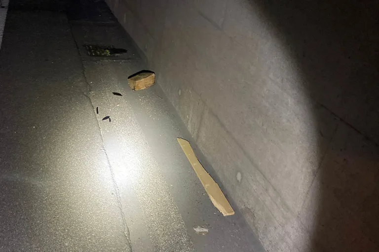 Münchenstein BL - Unbekannte Täter werfen Holzstücke auf der Autobahn - Mehrere PKW beschädigt