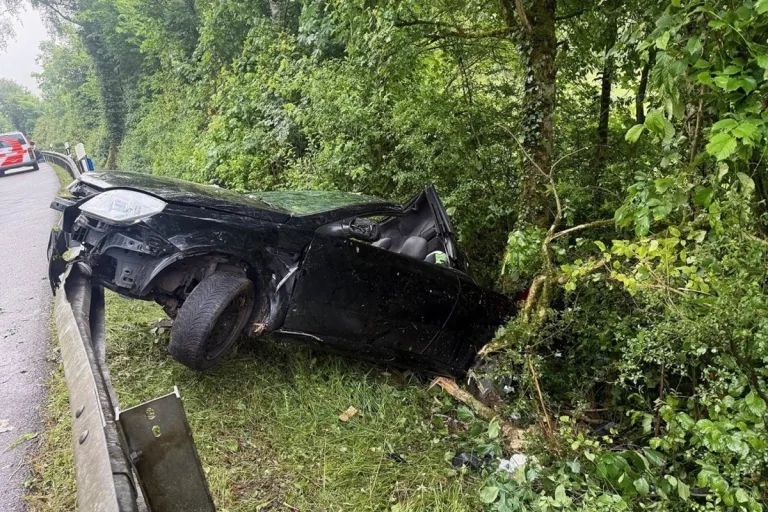 Osterfingen SH – Junglenker flüchtet von Unfallstelle