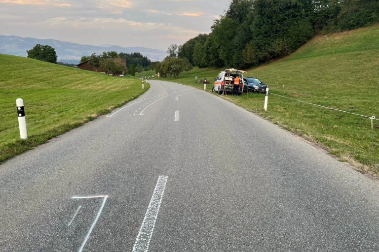 Goldingen SG - Kontrolle über Auto verloren und Kuh tödlich verletzt!