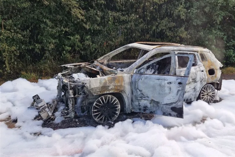 Lübbecke NW - Gestohlenes Auto in Brand geraten