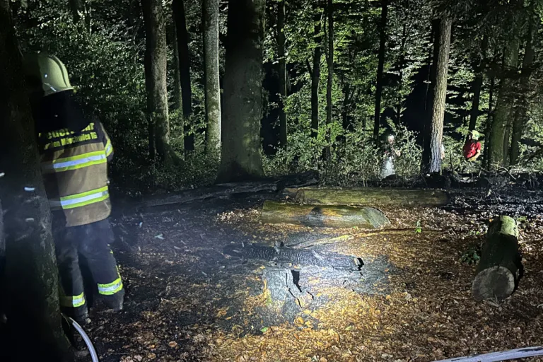 Sirnach TG – Rund 300 Quadratmeter Wald in Flammen