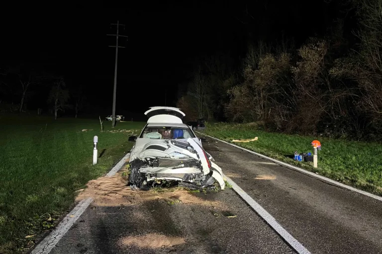 Wahnsinn in Hermetschwil-Staffeln AG - Fahrende Fahrzeuge von umkippendem Baum auf Kantonsstrasse erfasst!