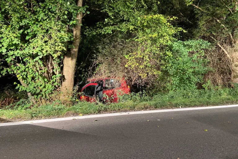 Totalschaden in Dottikon AG - Junger Autolenker fährt in Baum und verletzt sich