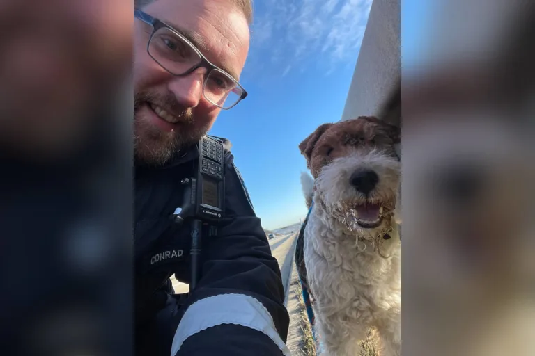 A4 Höhe Rüdersdorf – Hund von der Autobahn gerettet!