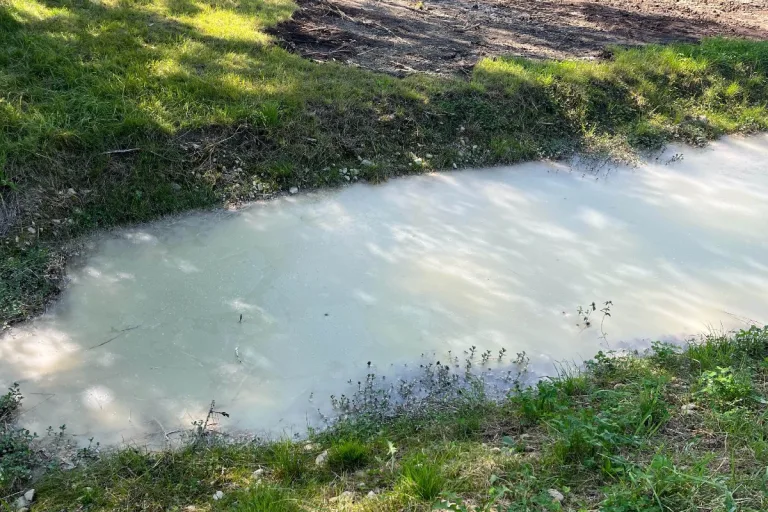 Bütschwil SG - Fischsterben wegen Betongemisch im Bach