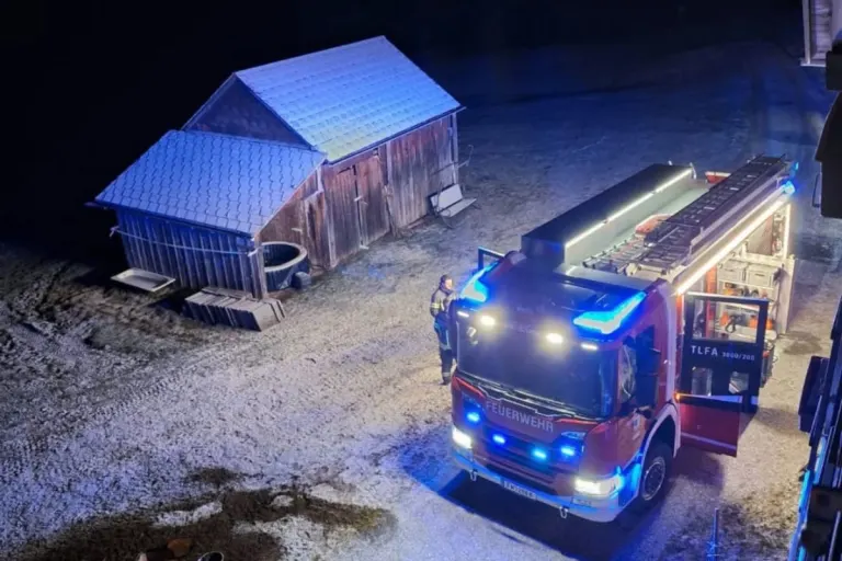 Egg im Bregenzerwald – Katzen retten Ehepaar bei Brand
