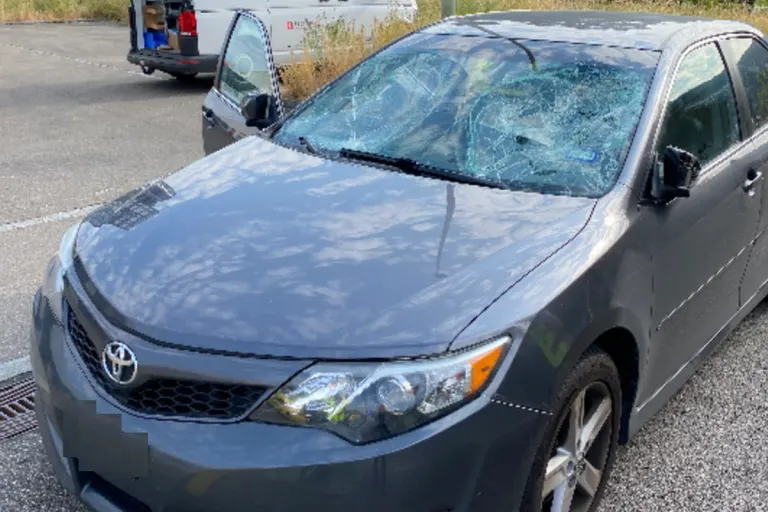 Auto gerät in eine Menschengruppe in Füllinsdorf BL – Sechs Personen verletzt