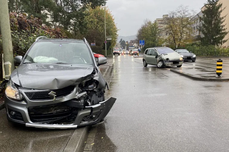 Reinach BL – Kollision zwischen zwei Personenwagen  – zwei verletzte Personen und ein toter Hund