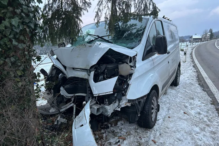 Unfall in Hohentannen TG - Am Steuer eingeschlafen