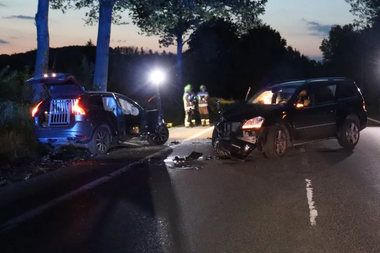 Rödinghausen - Alkoholisieret und ohne Fahrerlaubnis 