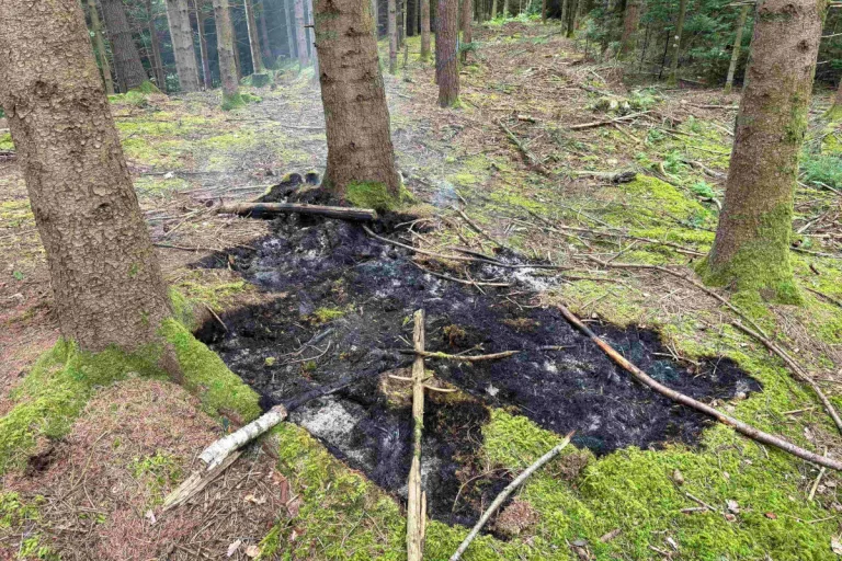 Kanton St.Gallen – 40 Verstösse gegen absolutes Feuerverbot