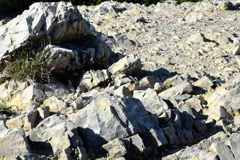 Felssturz unterhalb der Alp Sigel