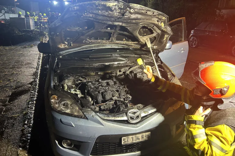 Goldau SZ – Brand eines Fahrzeugs