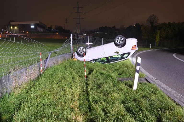 Ebikon LU - Autofahrer nach Selbstunfall verletzt