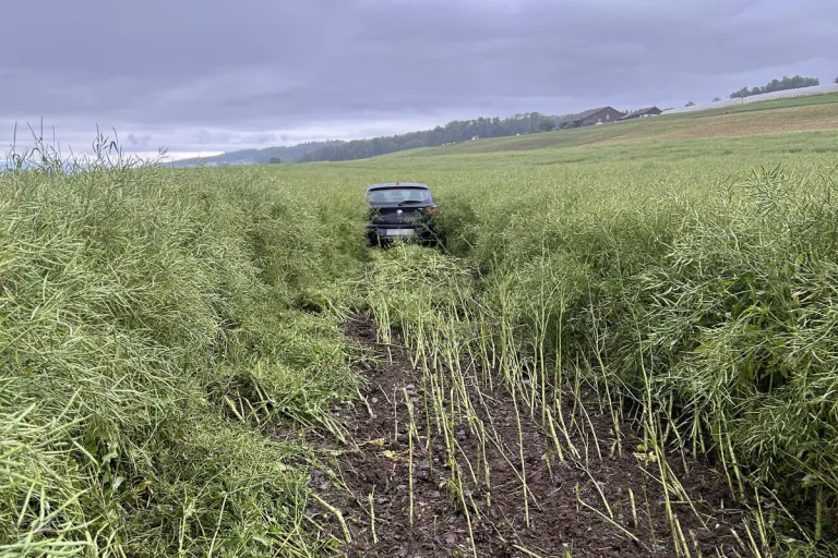 Bellikon AG - BMW-Fahrer kollidiert mit Bushäuschen