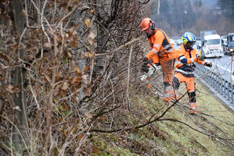 A2 und A4 – Gehölzpflegearbeiten bis in den Frühling