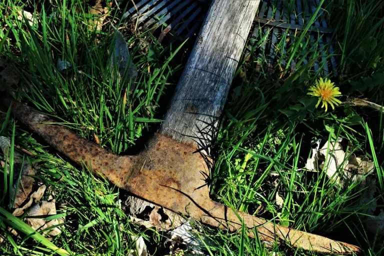 Schiltberg – Versuchtes Tötungsdelikt nach Streit