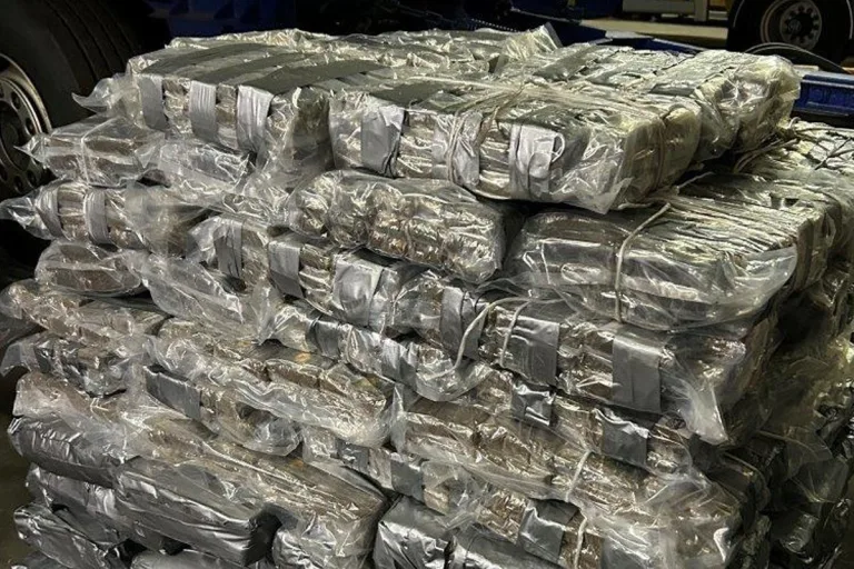 Schwegenheim RP – 432 Kilogramm Haschisch in Lkw entdeckt