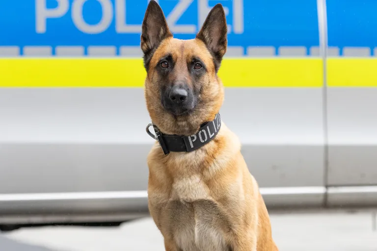 Oberhausen NW – Polizeipräsenz mit Diensthund verhindert Schlägerei