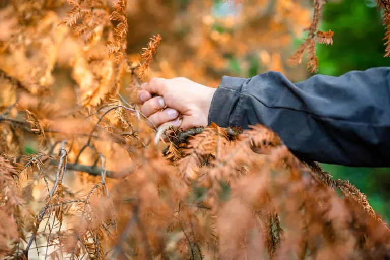 Luzern LU – Einschränkungen wegen Waldbrandgefahr bleiben
