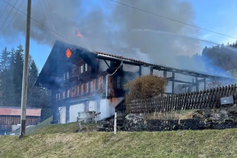 Horboden (Gemeinde Diemtigen) BE - Technischer Defekt führte zu Brand