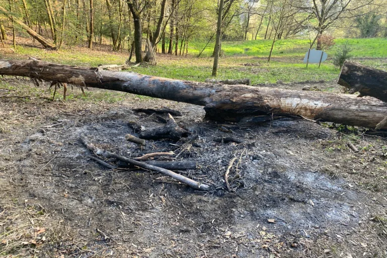 Gränichen AG – Zeugenaufruf nach Waldbrand 