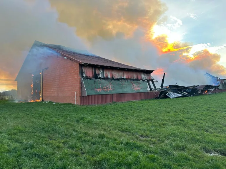 Großbrand in Minstedt: Feuerwehreinsatz mit über 130 Kräften