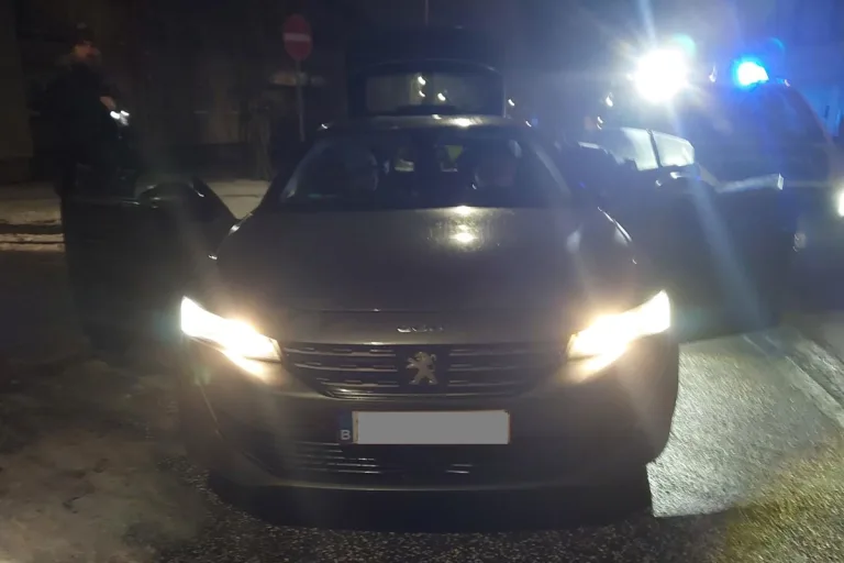 Bad Muskau – Fahrzeug rast durch Grenzkontrolle