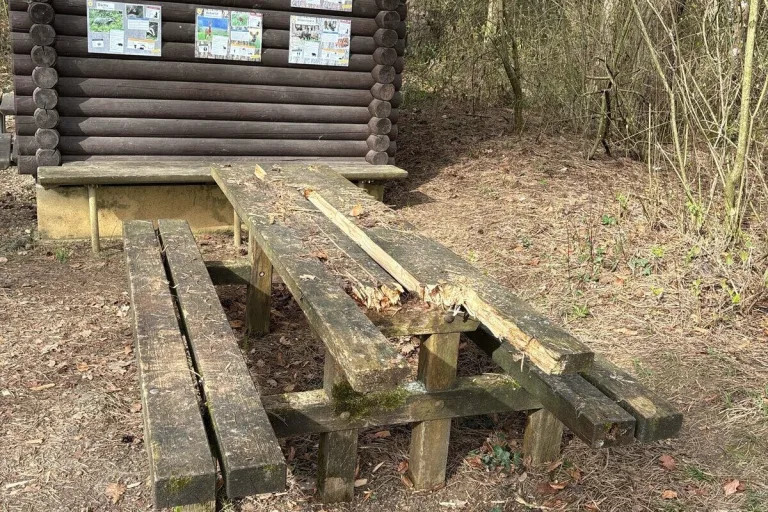 Thayngen SH -Zeugen nach massiver Sachbeschädigung gesucht 