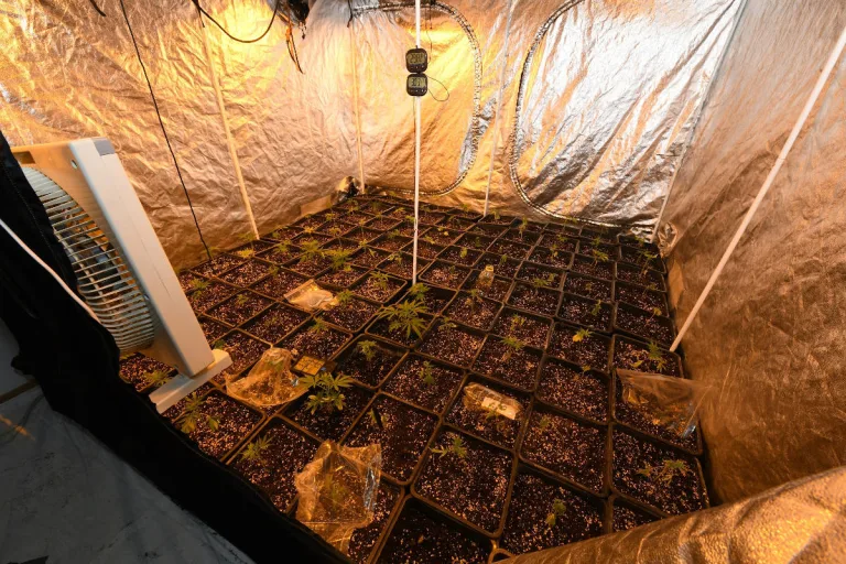 Herisau AR – Wassersschaden lässt Indoor-Hanfplantage auffliegen