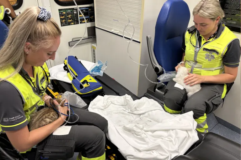 Zürich Kreis 3 – Zwei verletzte Personen nach Brand einer Wohnung