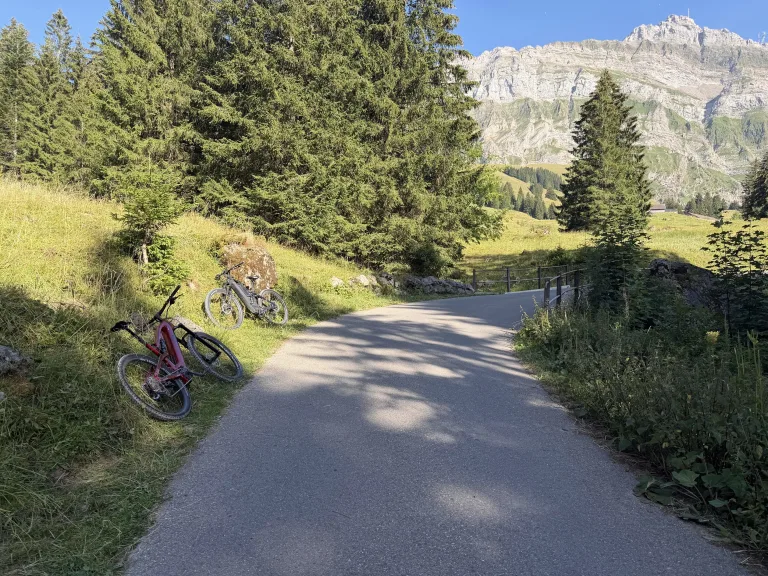 Urnäsch AR – E-Bikerin bei Unfall verletzt
