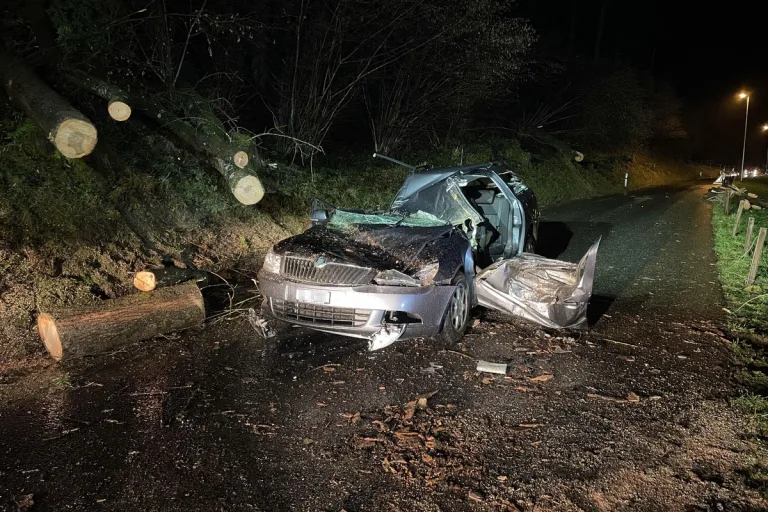 Schwerer Unfall in Siebnen SZ - Bäume auf Auto gefallen - Fahrer erheblich verletzt