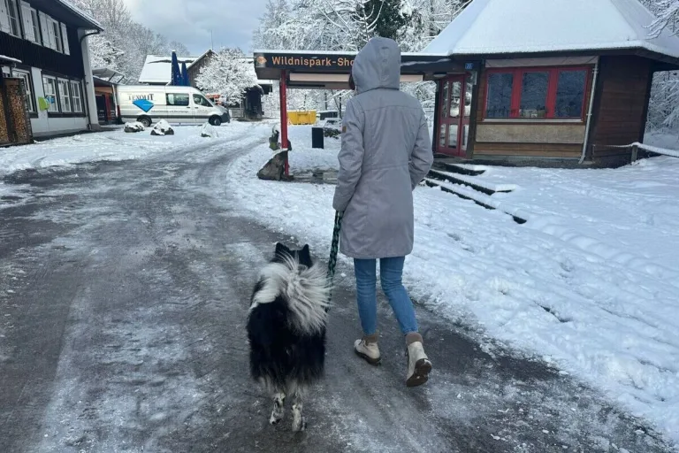 Wie sieht es mit der Leinenpflicht für Hunde bei uns wirklich aus - Wir klären auf