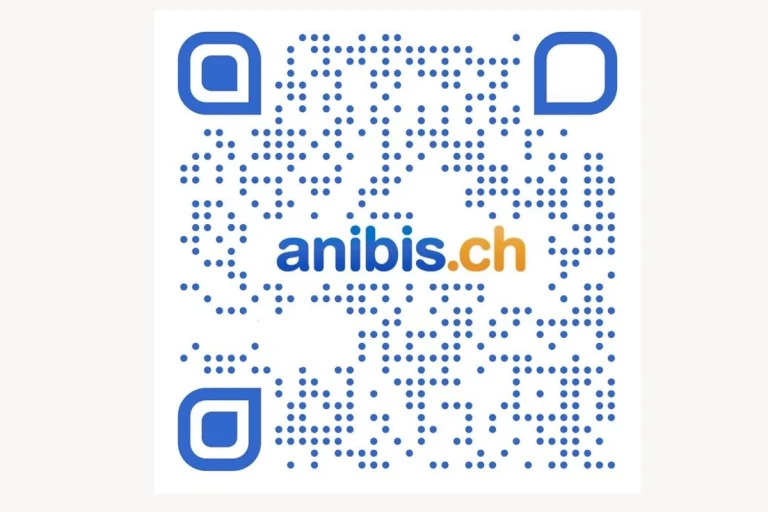 Kreditkartendaten mit Fake-QR-Codes geklaut