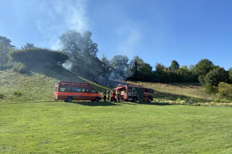 Münchenstein BL - Abgefeuertes Feuerwerk führt zu Brandausbruch 
