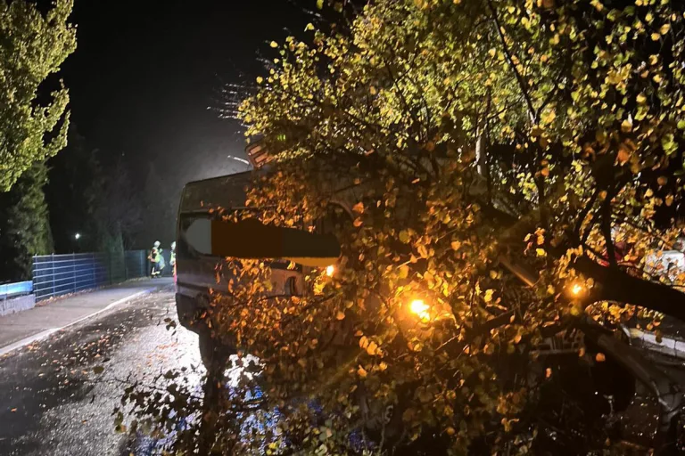 Schiffdorf NI – Transporter kollidiert mit Laterne und Baum